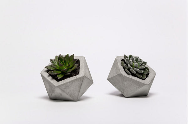 Succulent planter